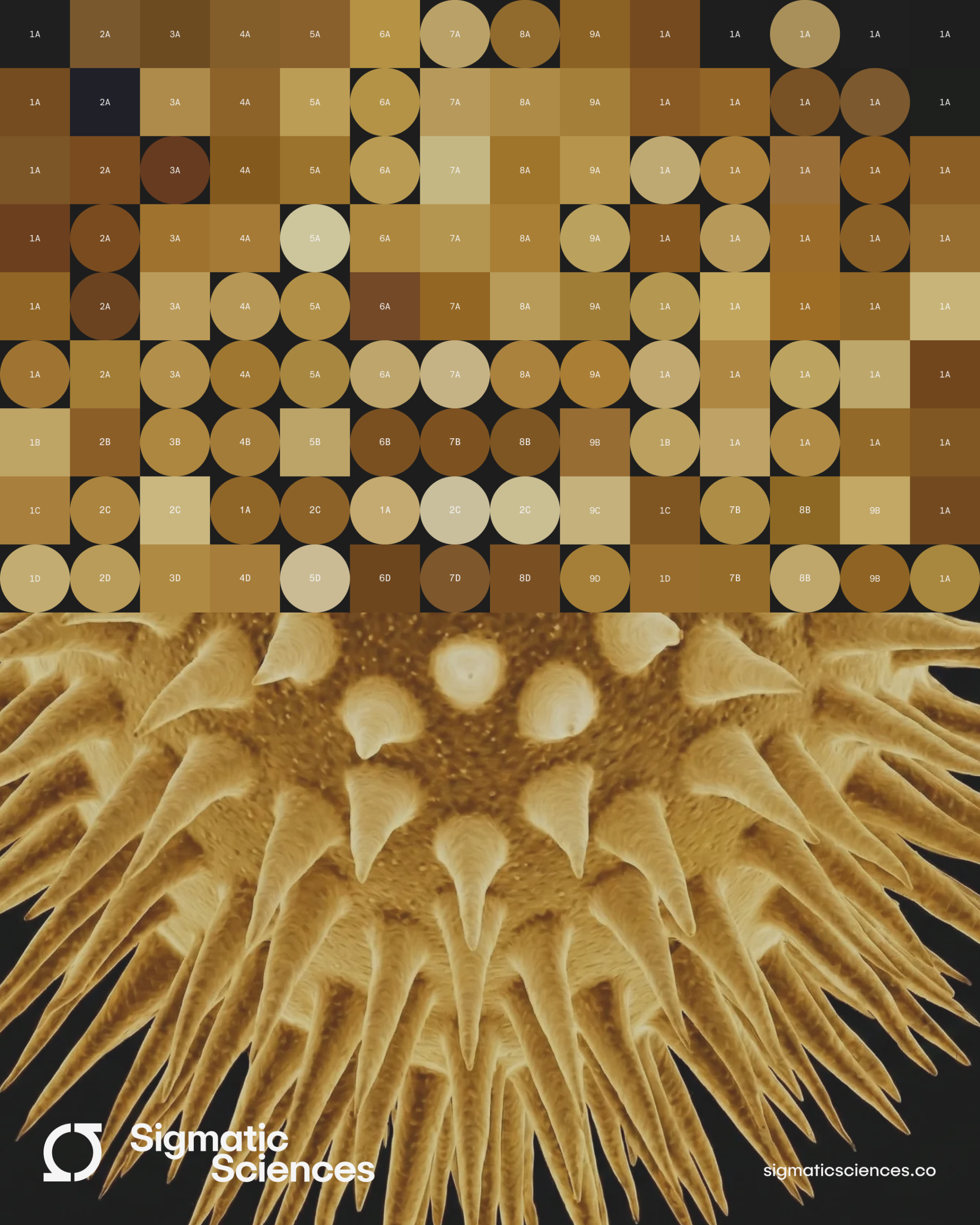 Multi-agent AI for Target Assessment: Turning Evidence into Decisions 