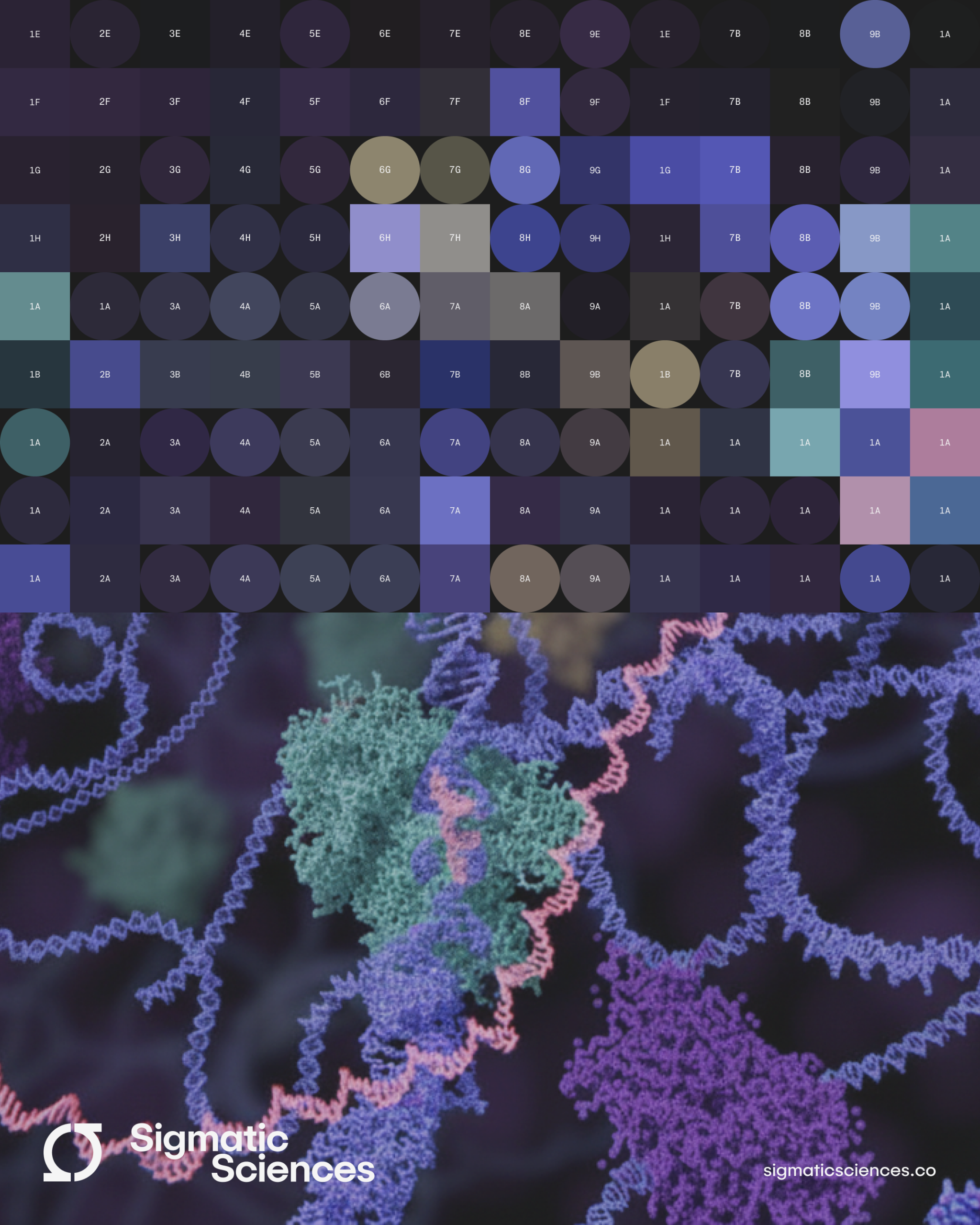 Living in a Golden Age for In-Silico Biology